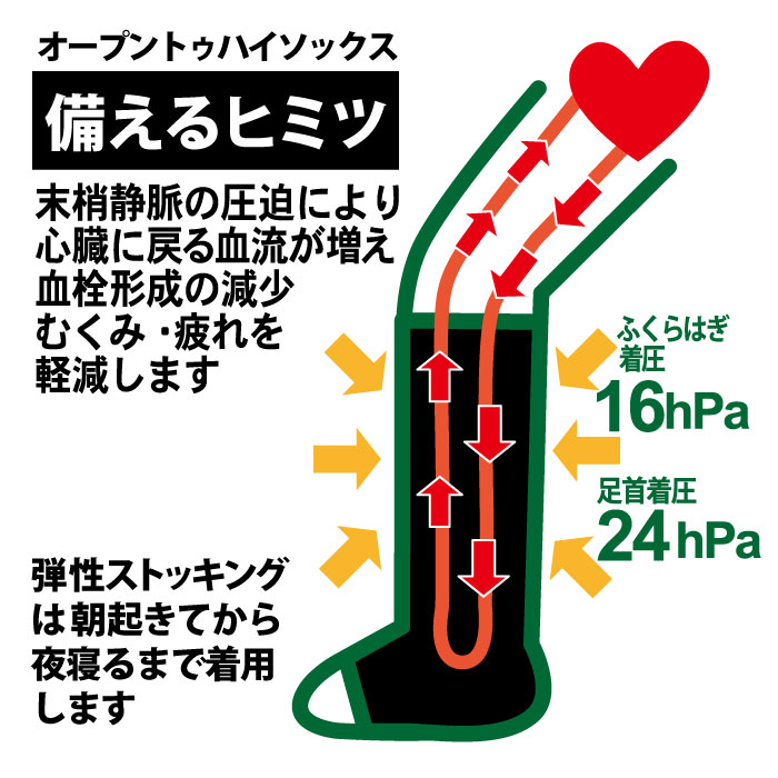 MP-HS480 一般医療機器 そなえる弾性ストッキング - 香川県 株式会社